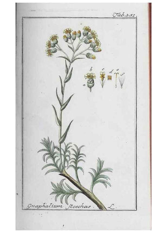 Reproducción/Reproduction 46265375125: Icones plantarum medicinalium.. Nürnberg :auf Kosten der Raspischen Buchhandlung,1779-1790. 