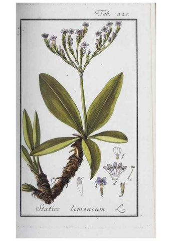 Reproducción/Reproduction 33304281188: Icones plantarum medicinalium.. Nürnberg :auf Kosten der Raspischen Buchhandlung,1779-1790. 