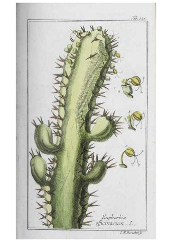 Reproducción/Reproduction 32237780807: Icones plantarum medicinalium.. Nürnberg :auf Kosten der Raspischen Buchhandlung,1779-1790. 