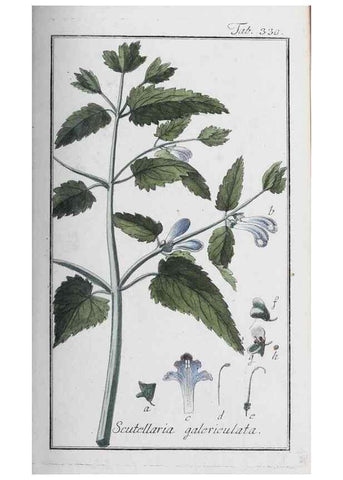 Reproducción/Reproduction 40214699873: Icones plantarum medicinalium.. Nürnberg :auf Kosten der Raspischen Buchhandlung,1779-1790. 
