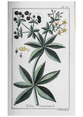 Reproducción/Reproduction 46265362195: Icones plantarum medicinalium.. Nürnberg :auf Kosten der Raspischen Buchhandlung,1779-1790. 