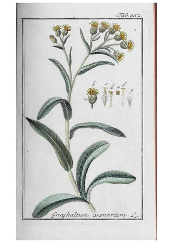 Reproducción/Reproduction 47179584631: Icones plantarum medicinalium.. Nürnberg :auf Kosten der Raspischen Buchhandlung,1779-1790. 
