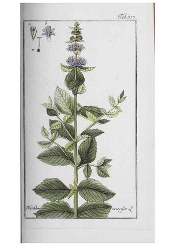 Reproducción/Reproduction 40214730493: Icones plantarum medicinalium.. Nürnberg :auf Kosten der Raspischen Buchhandlung,1779-1790. 