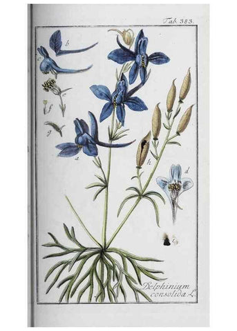 Reproducción/Reproduction 33304325748: Icones plantarum medicinalium.. Nürnberg :auf Kosten der Raspischen Buchhandlung,1779-1790. 