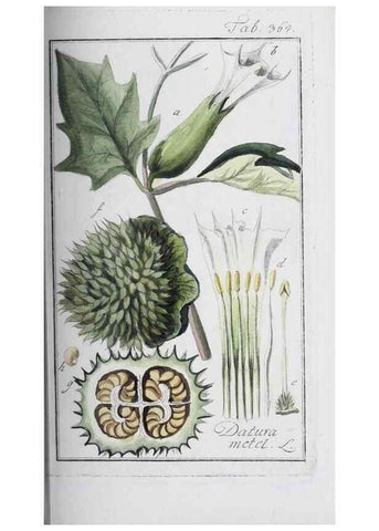 Reproducción/Reproduction 32237809807: Icones plantarum medicinalium.. Nürnberg :auf Kosten der Raspischen Buchhandlung,1779-1790. 