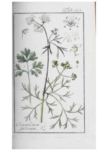 Reproducción/Reproduction 46265388525: Icones plantarum medicinalium.. Nürnberg :auf Kosten der Raspischen Buchhandlung,1779-1790. 