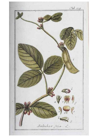 Reproducción/Reproduction 40214686773: Icones plantarum medicinalium.. Nürnberg :auf Kosten der Raspischen Buchhandlung,1779-1790. 
