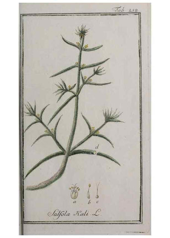 Reproducción/Reproduction 47179411431: Icones plantarum medicinalium.. Nürnberg :auf Kosten der Raspischen Buchhandlung,1779-1790. 