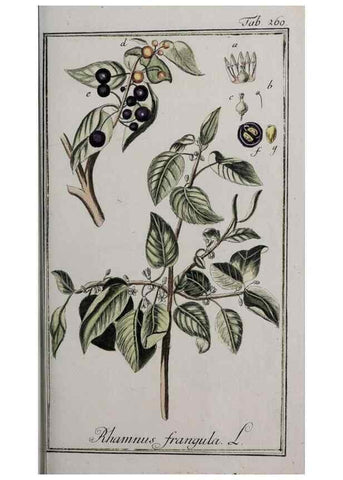 Reproducción/Reproduction 47179413331: Icones plantarum medicinalium.. Nürnberg :auf Kosten der Raspischen Buchhandlung,1779-1790. 