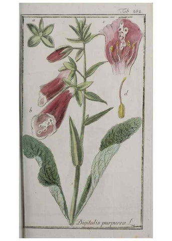 Reproducción/Reproduction 47179415591: Icones plantarum medicinalium.. Nürnberg :auf Kosten der Raspischen Buchhandlung,1779-1790. 