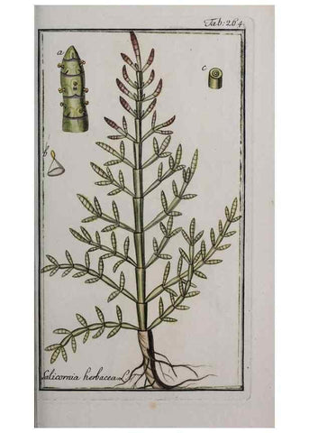Reproducción/Reproduction 47179418011: Icones plantarum medicinalium.. Nürnberg :auf Kosten der Raspischen Buchhandlung,1779-1790. 