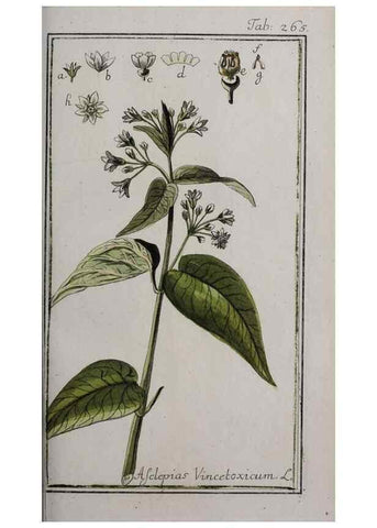 Reproducción/Reproduction 32237644157: Icones plantarum medicinalium.. Nürnberg :auf Kosten der Raspischen Buchhandlung,1779-1790. 