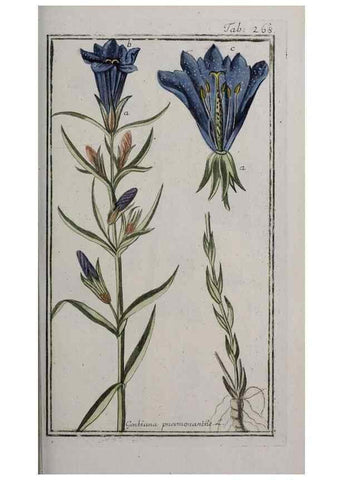 Reproducción/Reproduction 40214572133: Icones plantarum medicinalium.. Nürnberg :auf Kosten der Raspischen Buchhandlung,1779-1790. 