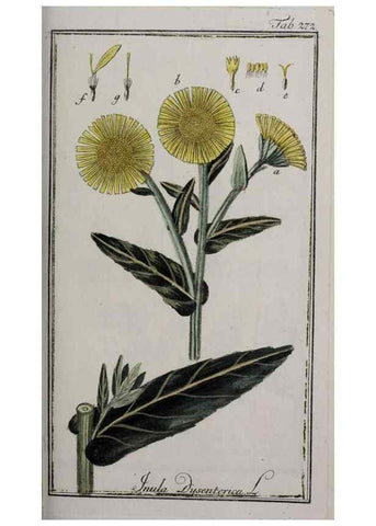 Reproducción/Reproduction 40214575023: Icones plantarum medicinalium.. Nürnberg :auf Kosten der Raspischen Buchhandlung,1779-1790. 