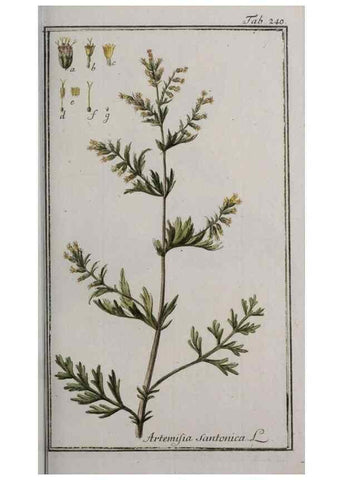 Reproducción/Reproduction 46265222765: Icones plantarum medicinalium.. Nürnberg :auf Kosten der Raspischen Buchhandlung,1779-1790. 