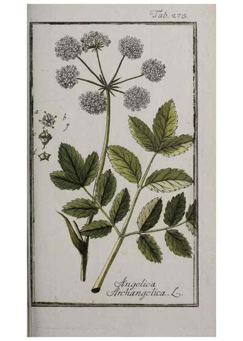 Reproducción/Reproduction 46265245345: Icones plantarum medicinalium.. Nürnberg :auf Kosten der Raspischen Buchhandlung,1779-1790. 