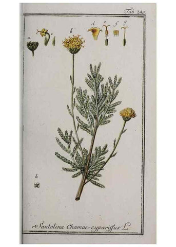 Reproducción/Reproduction 33304145388: Icones plantarum medicinalium.. Nürnberg :auf Kosten der Raspischen Buchhandlung,1779-1790. 
