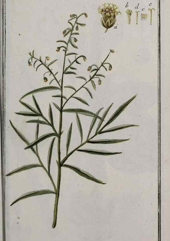 Reproducción/Reproduction 46455938284: Icones plantarum medicinalium.. Nürnberg :auf Kosten der Raspischen Buchhandlung,1779-1790. 