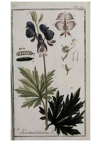 Reproducción/Reproduction 33304190448: Icones plantarum medicinalium.. Nürnberg :auf Kosten der Raspischen Buchhandlung,1779-1790. 
