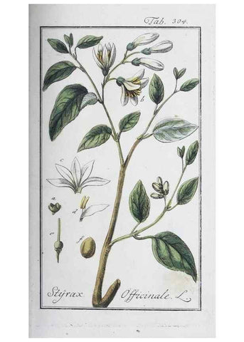 Reproducción/Reproduction 47127732272: Icones plantarum medicinalium.. Nürnberg :auf Kosten der Raspischen Buchhandlung,1779-1790. 