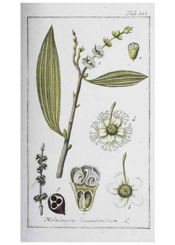 Reproducción/Reproduction 46456008764: Icones plantarum medicinalium.. Nürnberg :auf Kosten der Raspischen Buchhandlung,1779-1790. 