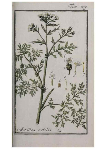 Reproducción/Reproduction 46455925844: Icones plantarum medicinalium.. Nürnberg :auf Kosten der Raspischen Buchhandlung,1779-1790. 