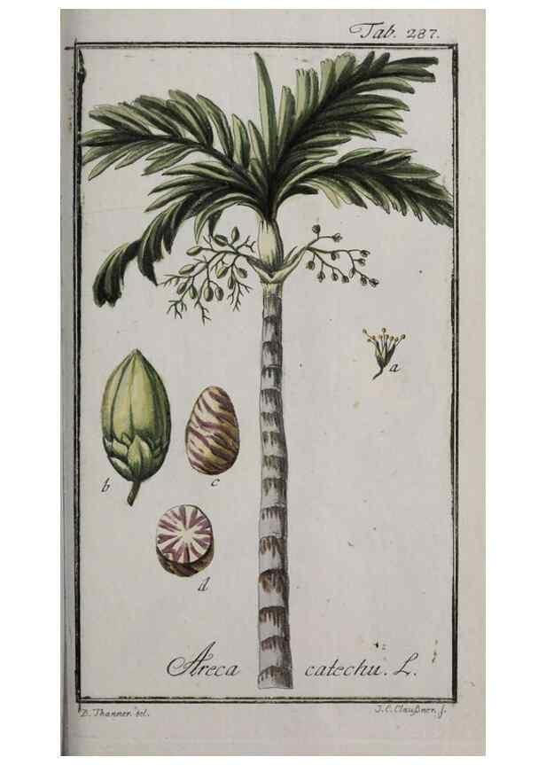 Reproducción/Reproduction 46265267705: Icones plantarum medicinalium.. Nürnberg :auf Kosten der Raspischen Buchhandlung,1779-1790. 