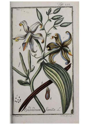 Reproducción/Reproduction 46455933534: Icones plantarum medicinalium.. Nürnberg :auf Kosten der Raspischen Buchhandlung,1779-1790. 