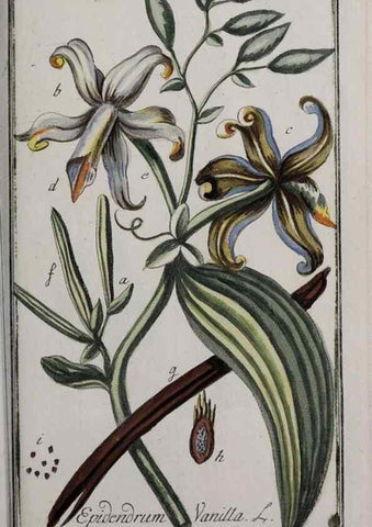 Reproducción/Reproduction 46455933534: Icones plantarum medicinalium.. Nürnberg :auf Kosten der Raspischen Buchhandlung,1779-1790. 