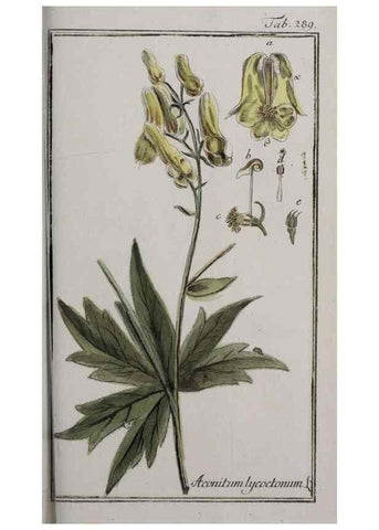 Reproducción/Reproduction 40214595933: Icones plantarum medicinalium.. Nürnberg :auf Kosten der Raspischen Buchhandlung,1779-1790. 