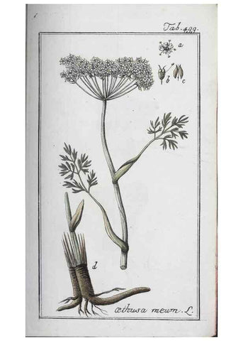 Reproducción/Reproduction 33304493828: Icones plantarum medicinalium.. Nürnberg :auf Kosten der Raspischen Buchhandlung,1779-1790. 
