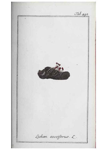 Reproducción/Reproduction 46456195714: Icones plantarum medicinalium.. Nürnberg :auf Kosten der Raspischen Buchhandlung,1779-1790. 