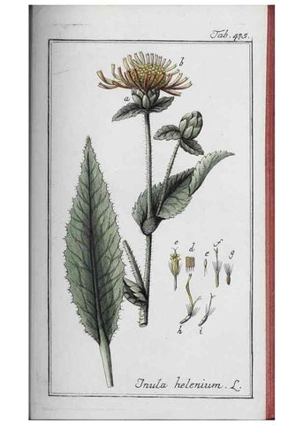 Reproducción/Reproduction 40214859163: Icones plantarum medicinalium.. Nürnberg :auf Kosten der Raspischen Buchhandlung,1779-1790. 