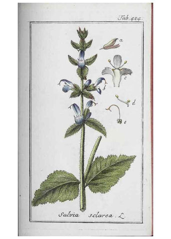 Reproducción/Reproduction 46456189224: Icones plantarum medicinalium.. Nürnberg :auf Kosten der Raspischen Buchhandlung,1779-1790. 