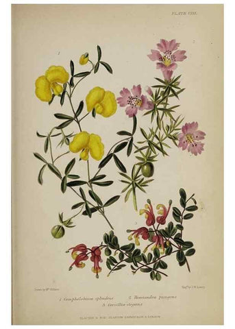 Reproducción/Reproduction 33352527618: The gardener's assistant :. London ;Blackie & Son,1859.. 