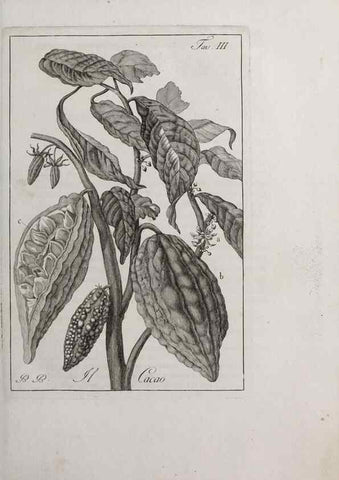 Reproducción/Reproduction 40317188873: Storia delle piante forastiere le più importanti nell'uso medico, od economico /. Milano :Nella stamperia di Giuseppe Marelli,1791-1794.. 