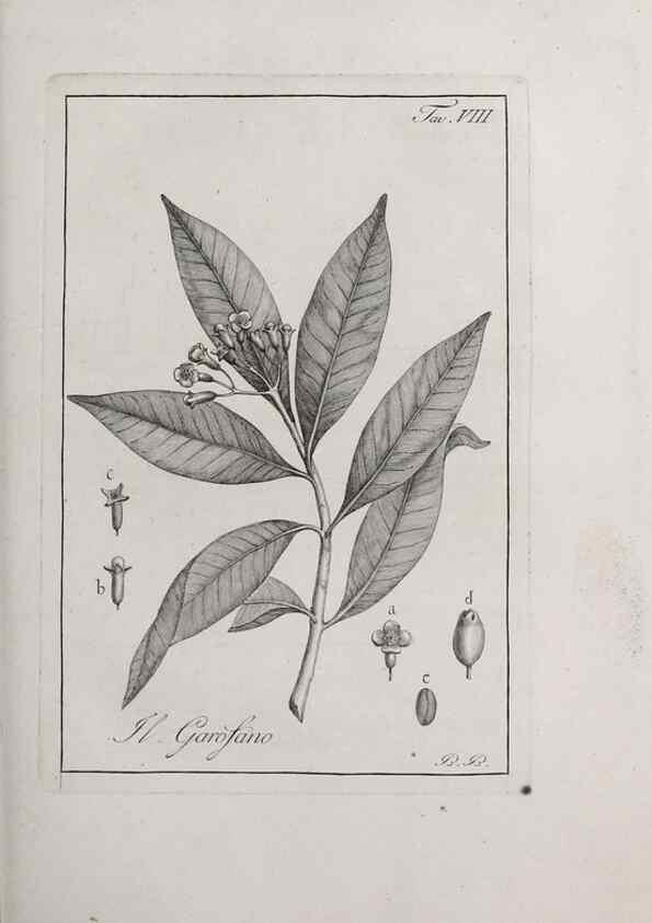 Reproducción/Reproduction 33406076218: Storia delle piante forastiere le più importanti nell'uso medico, od economico /. Milano :Nella stamperia di Giuseppe Marelli,1791-1794.. 