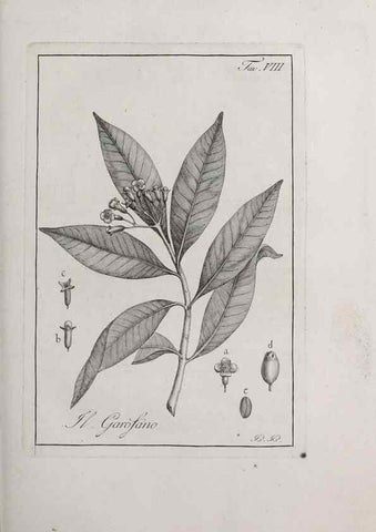 Reproducción/Reproduction 33406076218: Storia delle piante forastiere le più importanti nell'uso medico, od economico /. Milano :Nella stamperia di Giuseppe Marelli,1791-1794.. 