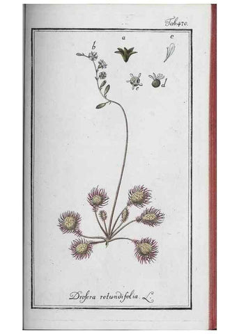 Reproducción/Reproduction 46265541335: Icones plantarum medicinalium.. Nürnberg :auf Kosten der Raspischen Buchhandlung,1779-1790. 