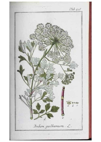 Reproducción/Reproduction 47127864262: Icones plantarum medicinalium.. Nürnberg :auf Kosten der Raspischen Buchhandlung,1779-1790. 