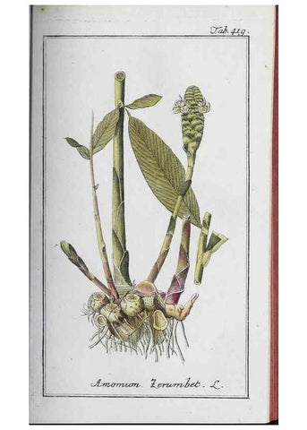 Reproducción/Reproduction 46265502085: Icones plantarum medicinalium.. Nürnberg :auf Kosten der Raspischen Buchhandlung,1779-1790. 