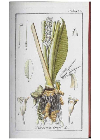 Reproducción/Reproduction 33304433478: Icones plantarum medicinalium.. Nürnberg :auf Kosten der Raspischen Buchhandlung,1779-1790. 