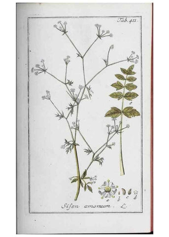 Reproducción/Reproduction 47179668951: Icones plantarum medicinalium.. Nürnberg :auf Kosten der Raspischen Buchhandlung,1779-1790. 