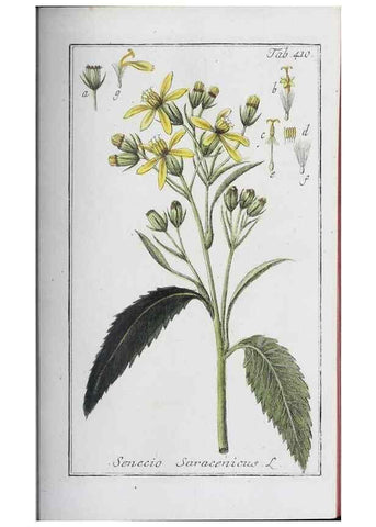 Reproducción/Reproduction 46456133434: Icones plantarum medicinalium.. Nürnberg :auf Kosten der Raspischen Buchhandlung,1779-1790. 