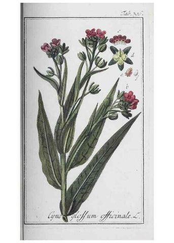 Reproducción/Reproduction 46456071854: Icones plantarum medicinalium.. Nürnberg :auf Kosten der Raspischen Buchhandlung,1779-1790. 