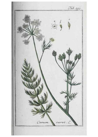 Reproducción/Reproduction 46265408005: Icones plantarum medicinalium.. Nürnberg :auf Kosten der Raspischen Buchhandlung,1779-1790. 
