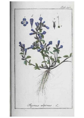 Reproducción/Reproduction 32237838067: Icones plantarum medicinalium.. Nürnberg :auf Kosten der Raspischen Buchhandlung,1779-1790. 