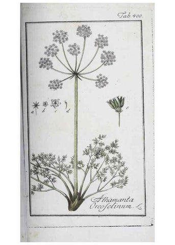 Reproducción/Reproduction 46265409325: Icones plantarum medicinalium.. Nürnberg :auf Kosten der Raspischen Buchhandlung,1779-1790. 