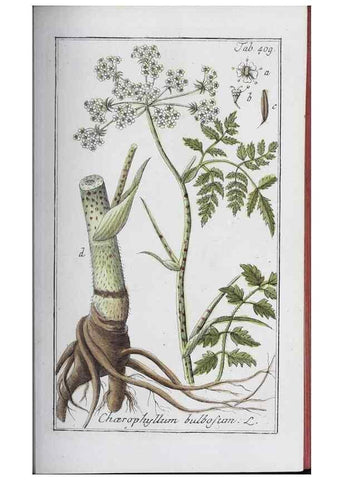 Reproducción/Reproduction 46265491085: Icones plantarum medicinalium.. Nürnberg :auf Kosten der Raspischen Buchhandlung,1779-1790. 
