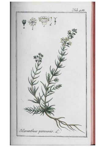 Reproducción/Reproduction 33304461708: Icones plantarum medicinalium.. Nürnberg :auf Kosten der Raspischen Buchhandlung,1779-1790. 